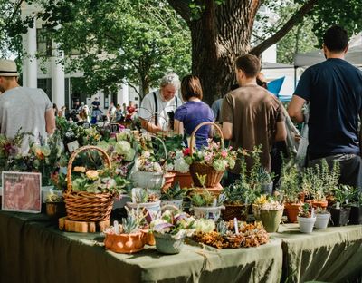 Vendor at outdoor event selling various plants in Greenwood Village, CO